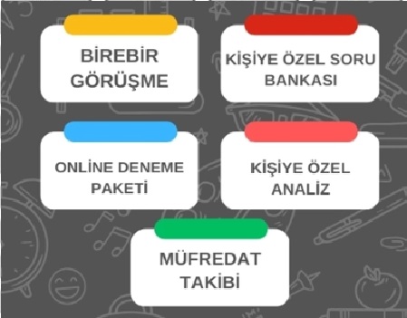 Koçluk Sistemi